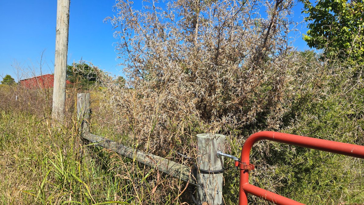 Image for LAND AUCTION - 68.9± ACRES IN 3 TRACTS WITH BARNS
