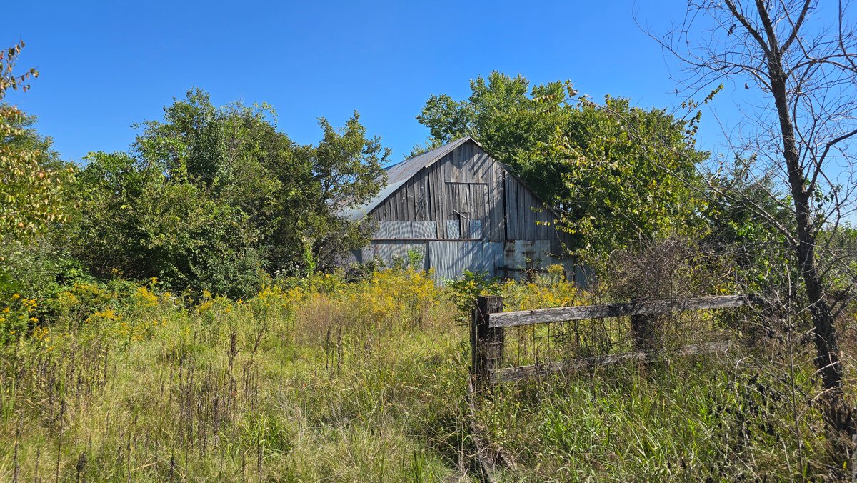 Image for LAND AUCTION - 68.9± ACRES IN 3 TRACTS WITH BARNS