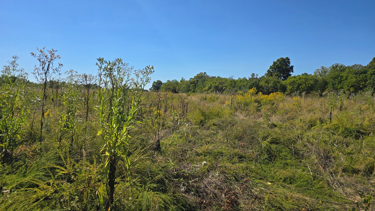 Image for LAND AUCTION - 68.9± ACRES IN 3 TRACTS WITH BARNS