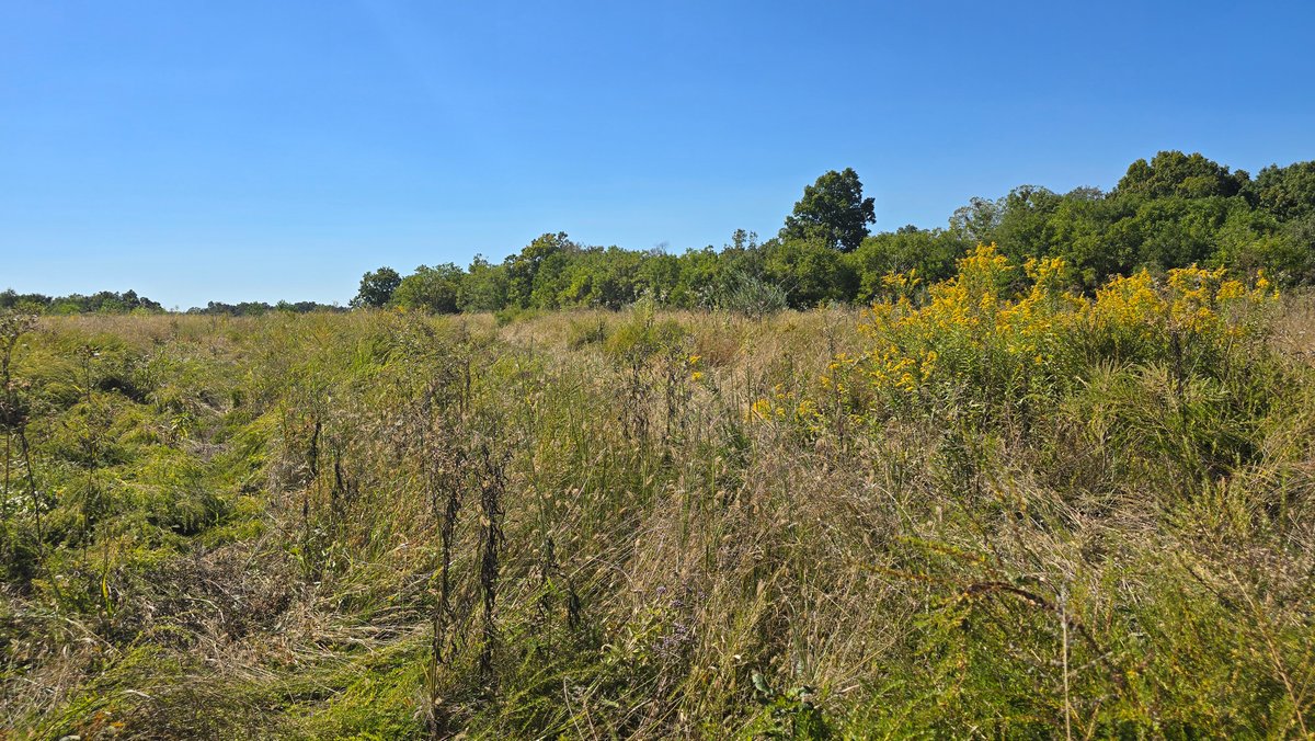 Image for LAND AUCTION - 68.9± ACRES IN 3 TRACTS WITH BARNS