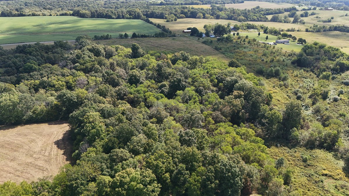 Image for LAND AUCTION - 68.9± ACRES IN 3 TRACTS WITH BARNS