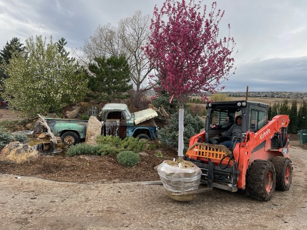 Image for NEAR PARKER-Castlewood Gardens-Trees, Shrubs, Boulders & More