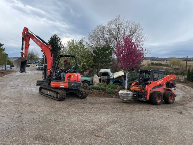 Image for NEAR PARKER-Castlewood Gardens-Trees, Shrubs, Boulders & More