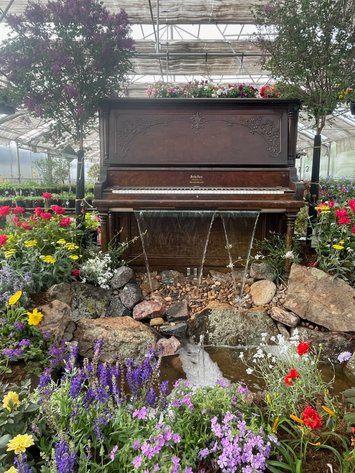 Image for NEAR PARKER-Castlewood Gardens-Trees, Shrubs, Boulders & More
