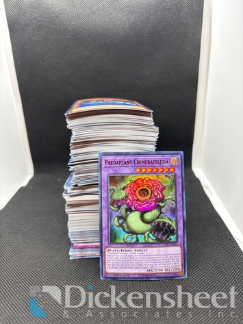 Image for DENVER-Pokemon, Yu-Gi-Oh! Trading Cards, Mixed Rarities On Behalf Of The US Bankruptcy Court