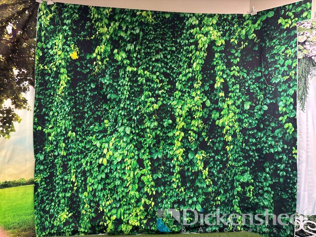 Image for VINE BACKDROP