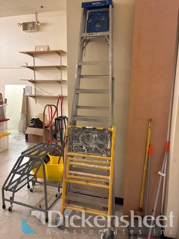 Image for LADDER AND PAINTER'S SCAFFOLDING