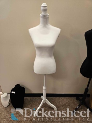 Image for WHITE BODICE WITH STAND