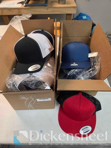 Image for LOT OF BLANK BALL CAPS