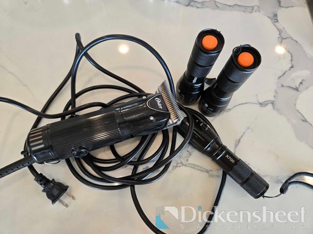 Image for LOT WITH (3) FLASHLIGHTS AND ELECTRIC OSTER RAZOR