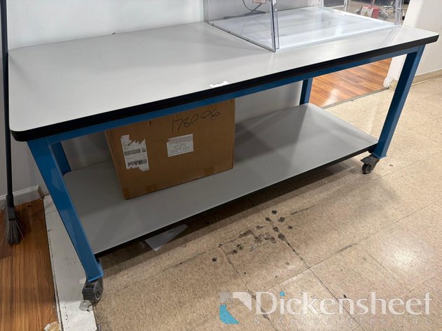Image for LAB TABLE ON CASTERS-approximate