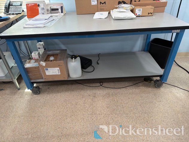 Image for LAB BENCH ON CASTERS