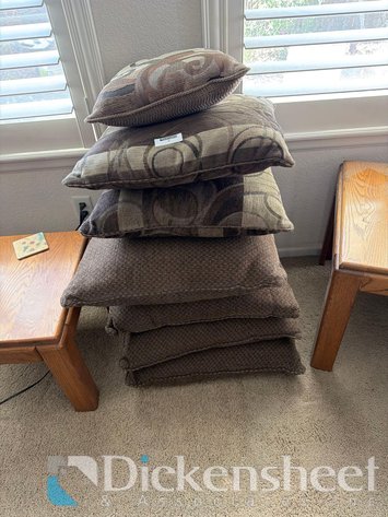 Image for ASSORTED PILLOWS LOT