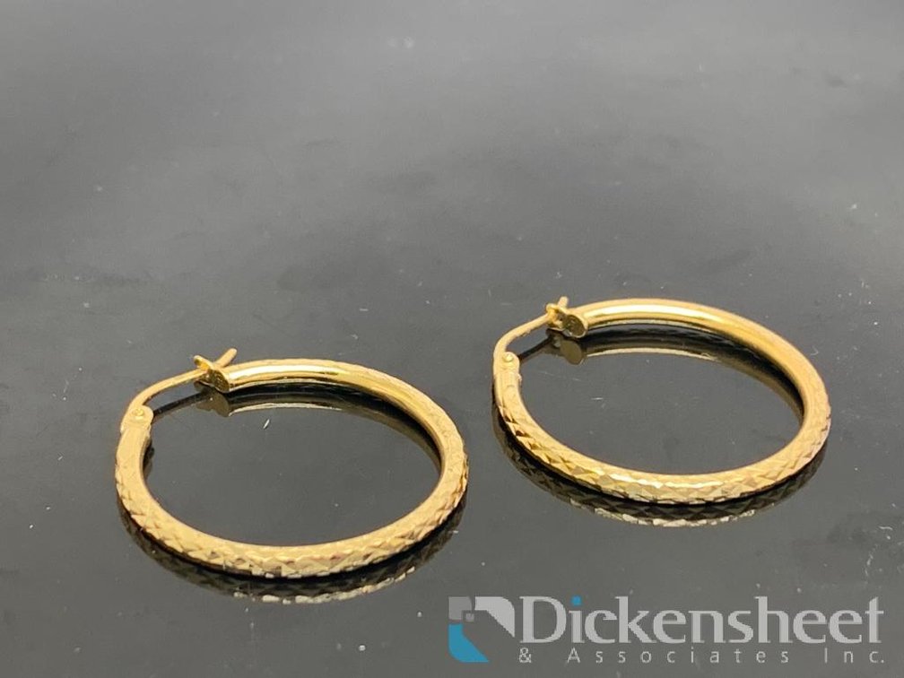 Gold Tone Hoop Earrings