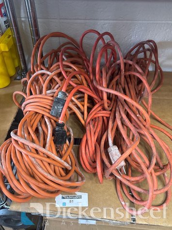 Image for LOT OF EXTENSION CORDS