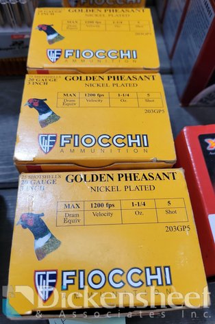 Image for (3) BOXES FIOCCHI 20 GAUGE