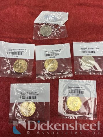 Image for VARIETY OF DOLLAR COINS