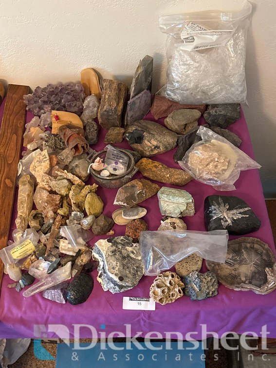 PETRIFIED ARTIFACTS, STONES, AND MINERALS