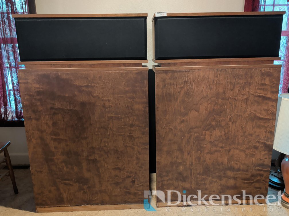 PAIR OF LARGE SPEAKER CABINETS