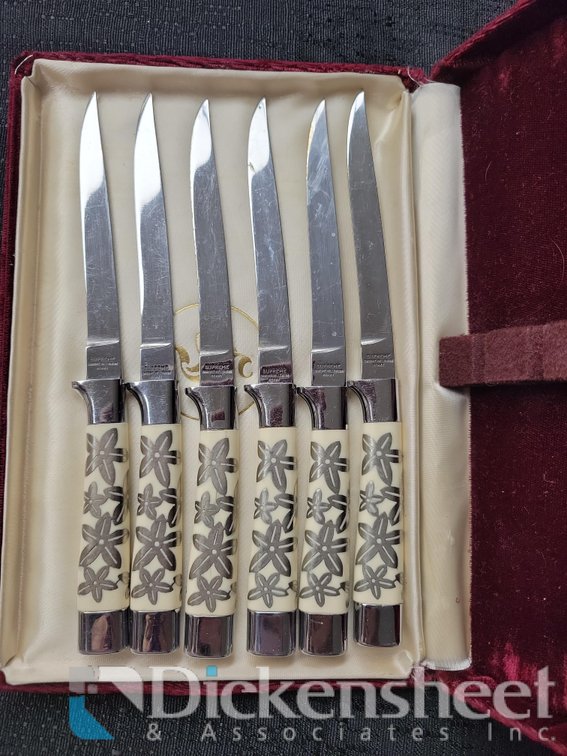 (6) KNIVES IN DECORATIVE BOX