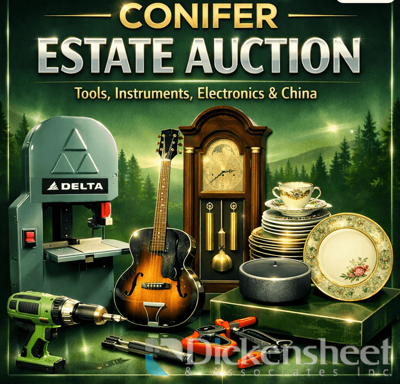 AUCTION INFORMATION-DO NOT BID ON THIS LINE