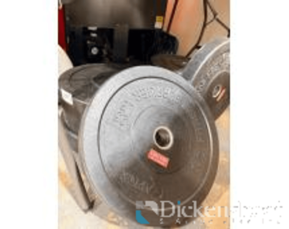 Rubber Coated Weight - 45lbs
