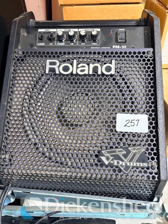 Roland PM-10 Speaker