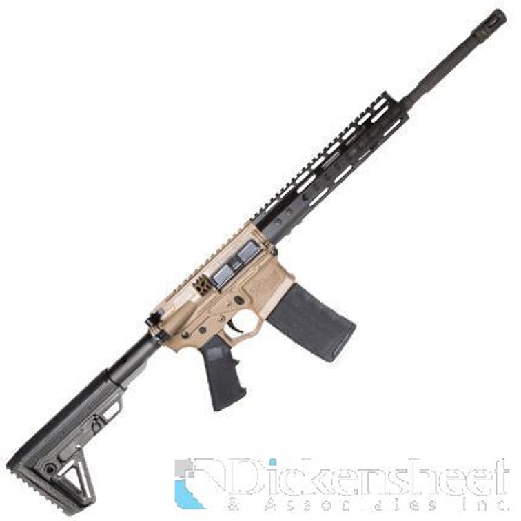 Image for MARCH FIREARM, AMMUNITION, ACCESSORIES AUCTION