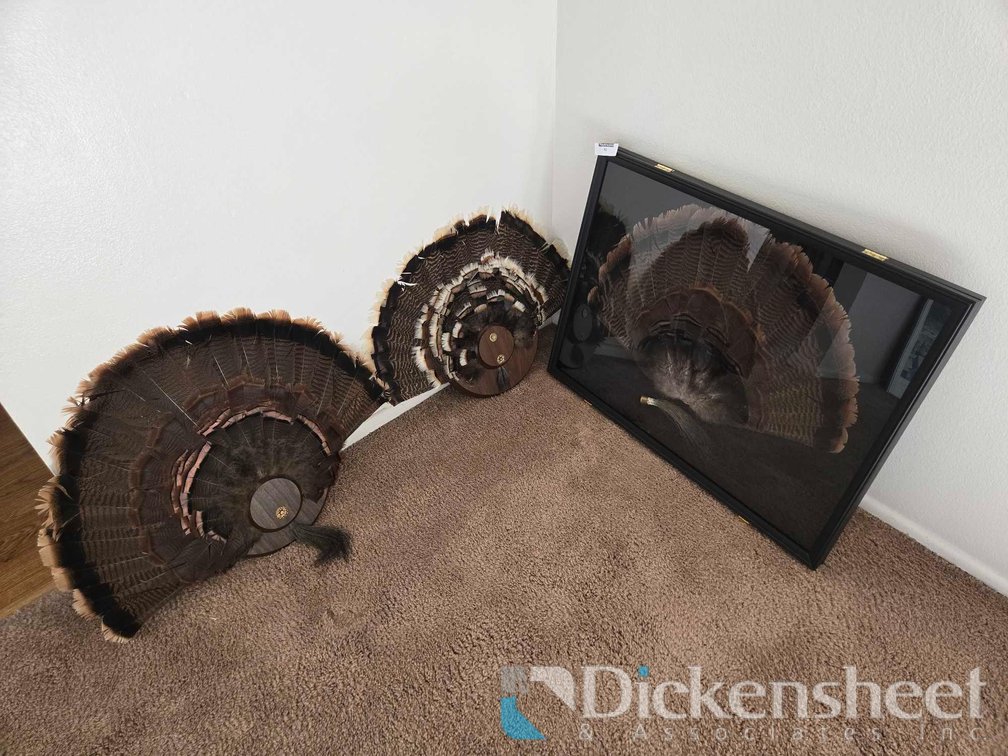 TURKEY FAN AND BEARD MOUNTS LOT, QTY (3) 