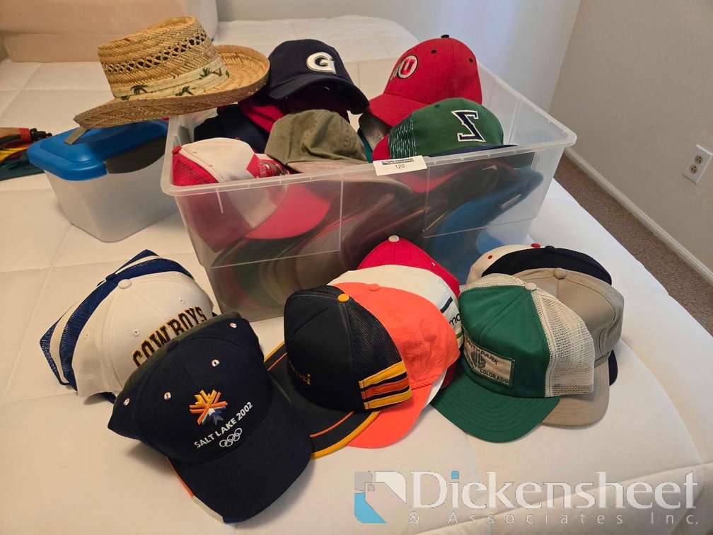 ASSORTED HAT LOT 