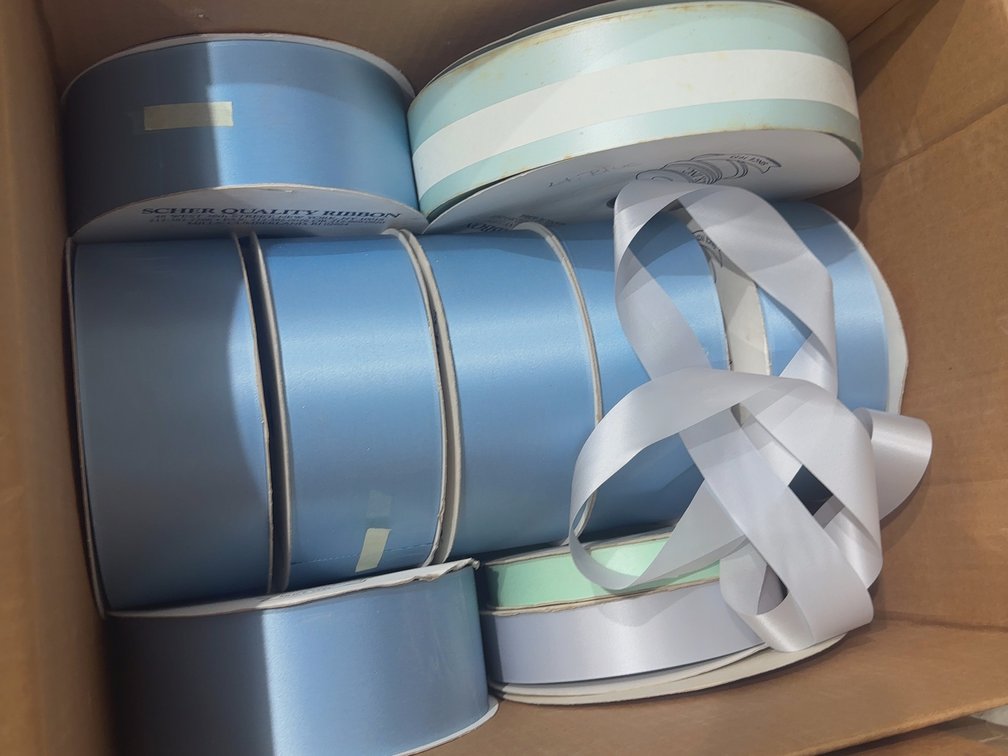 Blue Scher Ribbon