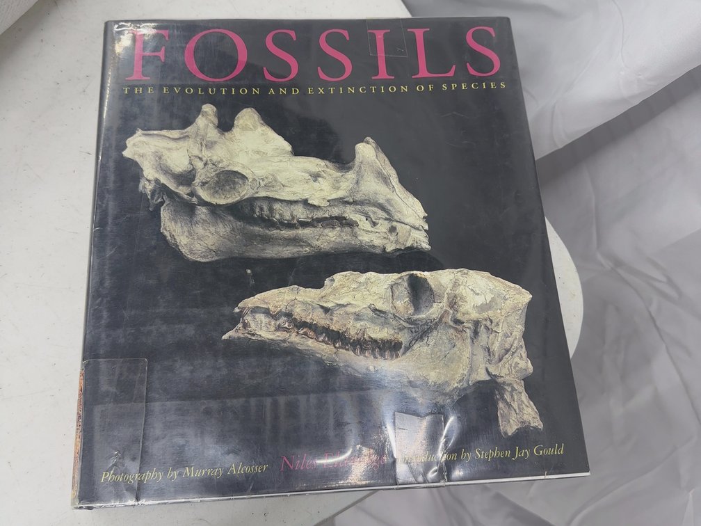 Fossils the Evolution and Extinction of Species