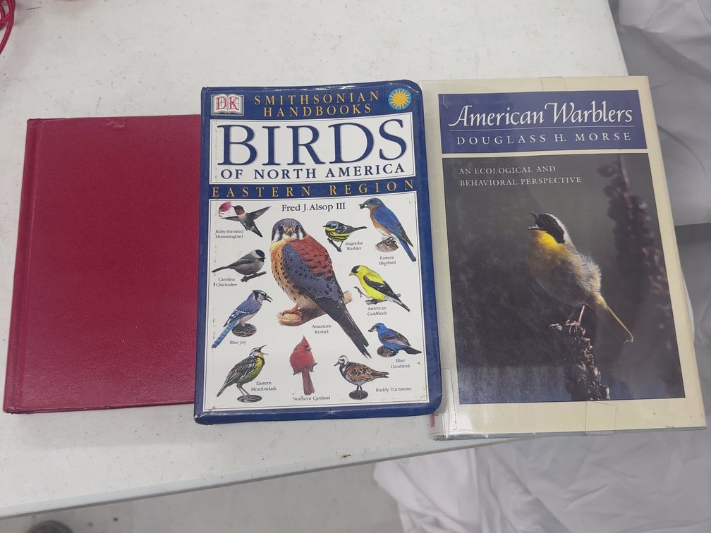 Birds 3 Vol