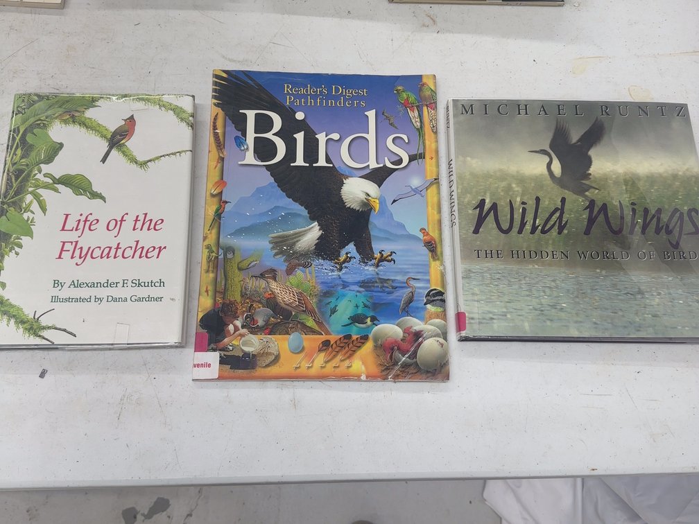 Birds 3 Vol