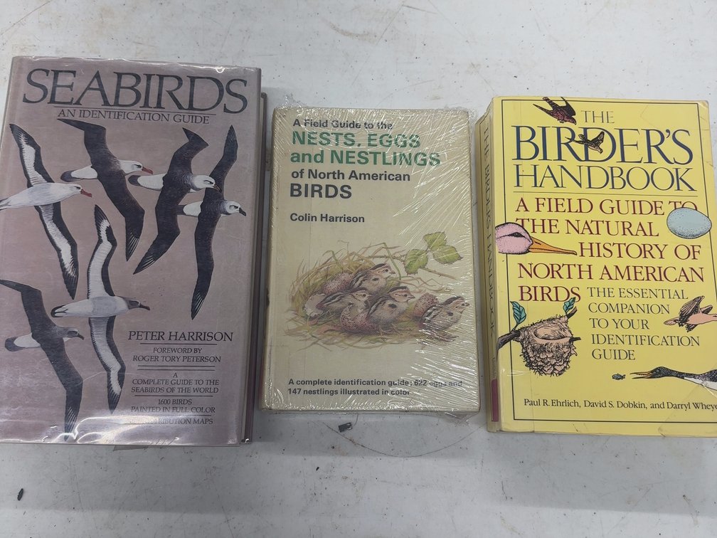 Birds 3 Vol