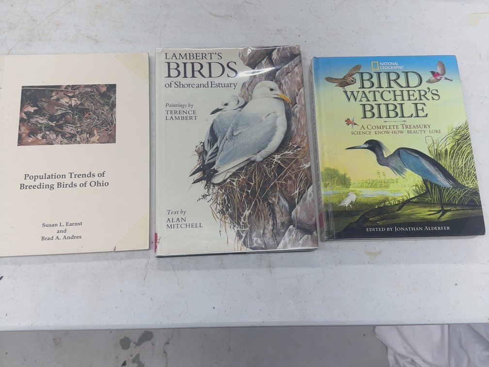 Birds 3 Vol