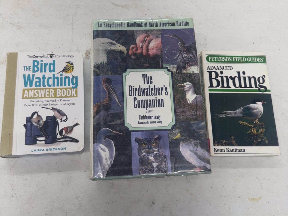 Birds 3 Vol