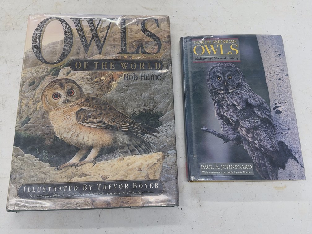 Owls 2 Vol