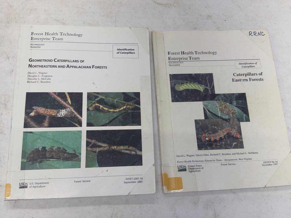 Caterpillars 2 Vol