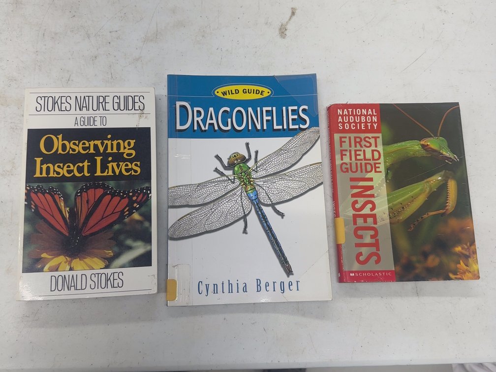 Insects 3 Vol