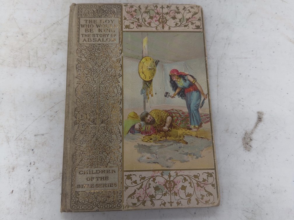 The Boy Who Would Be King : the Story of Absalom