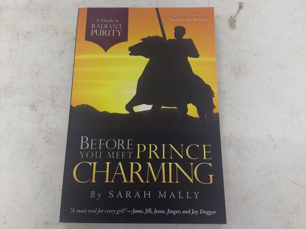 Before You Meet Prince Charming