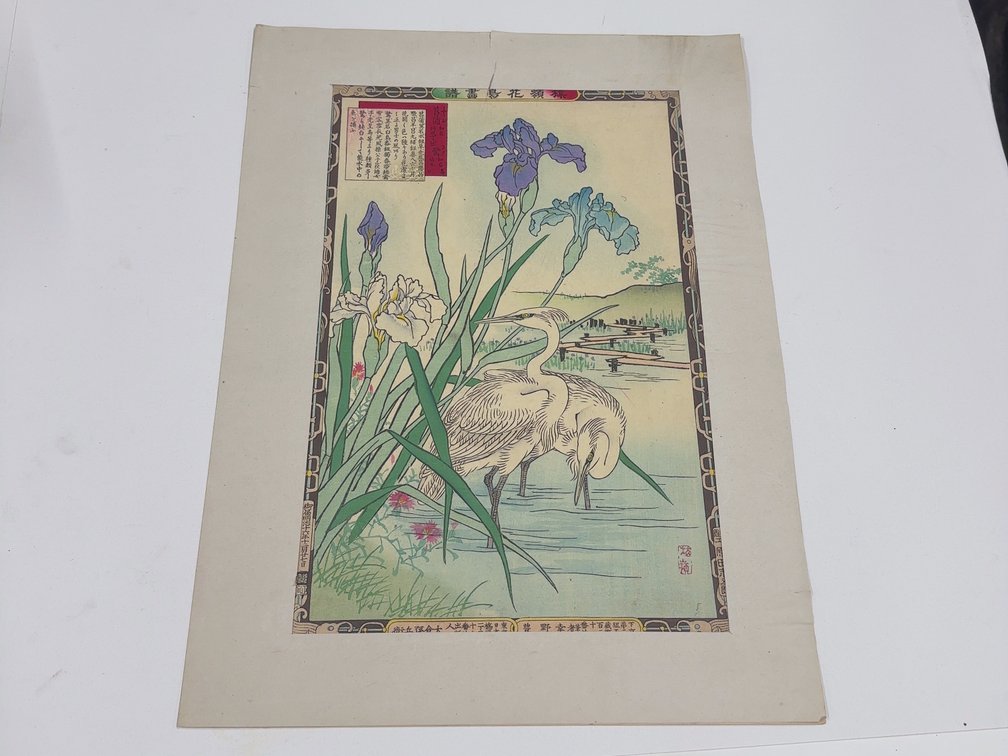 White Heron and Water Iris