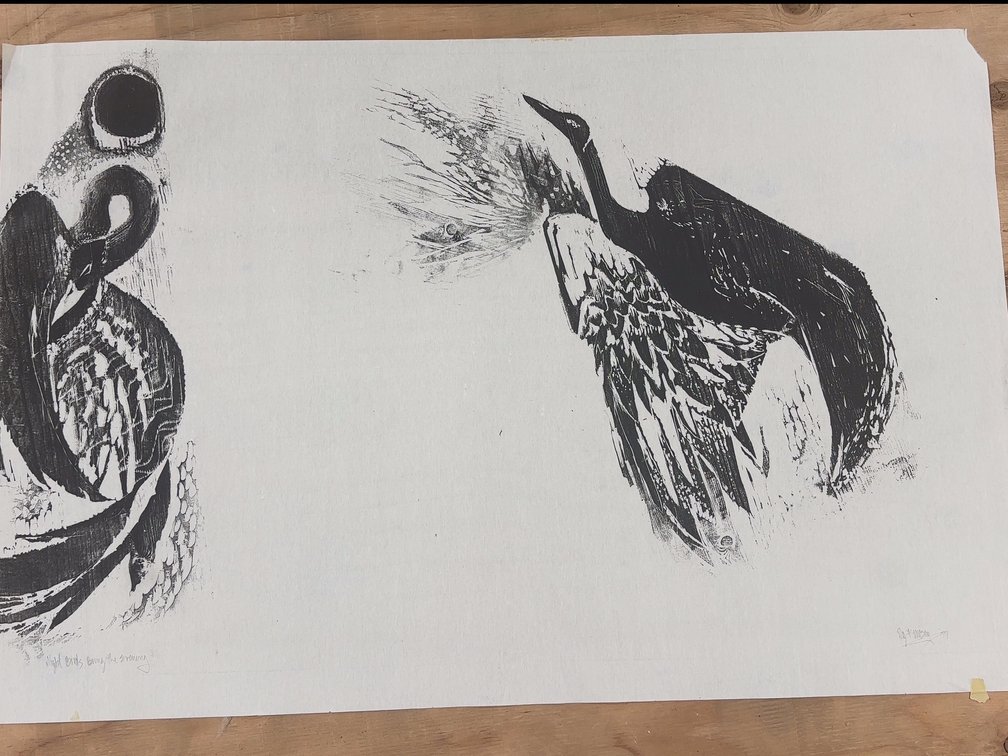 Bird Sketch