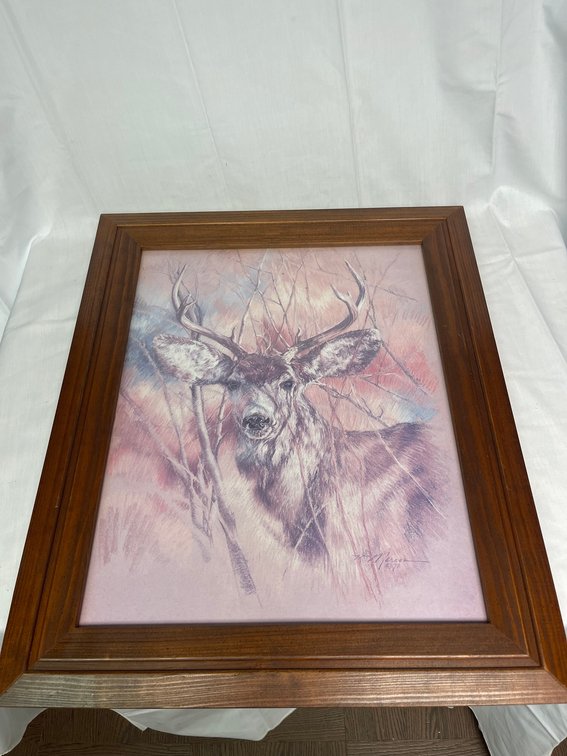 Lot 31