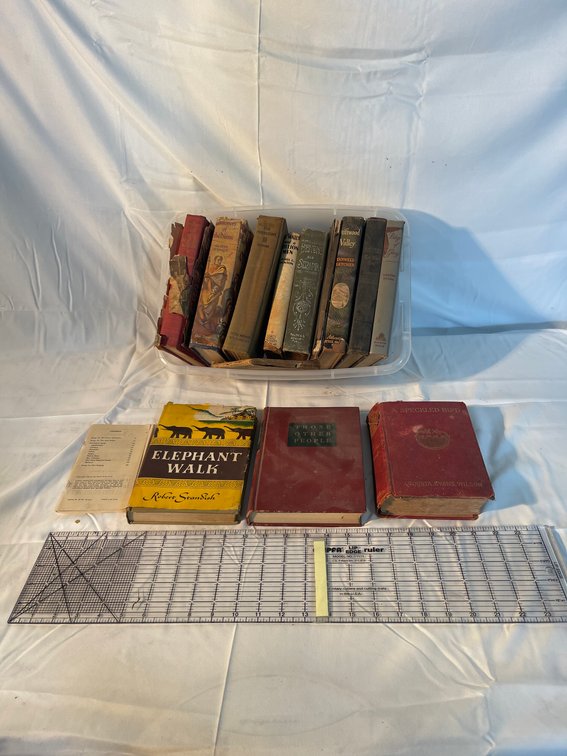 Lot 24