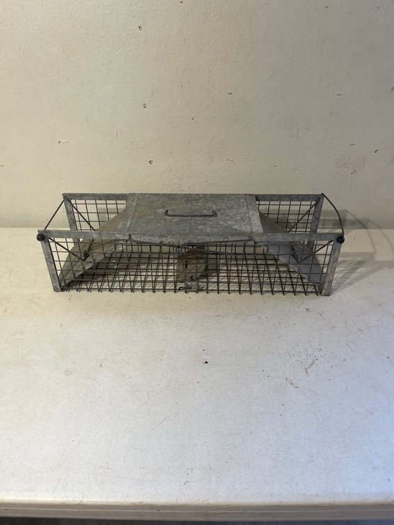 Lot 93