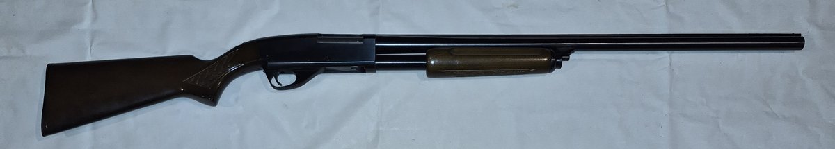Lot 29