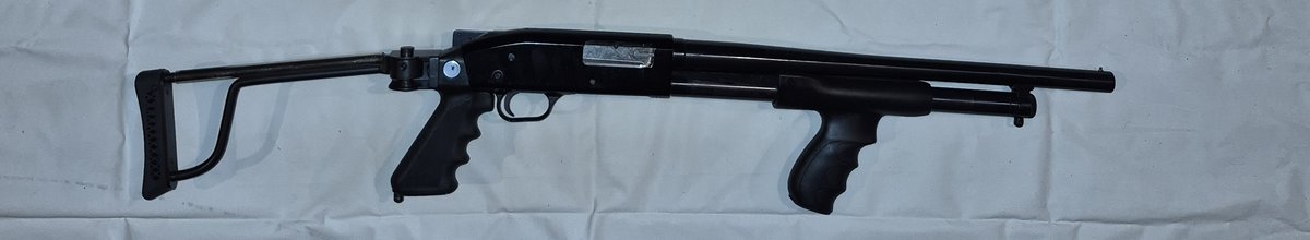 Lot 31
