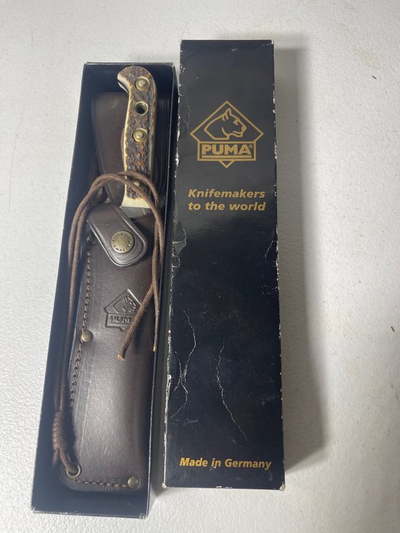 Lot 555